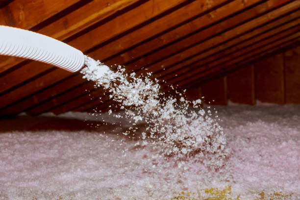 Best Insulation Installation Services in Lake Havasu City, AZ