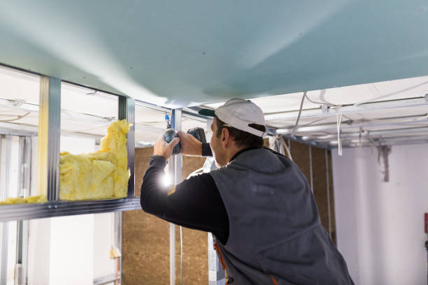 Best Residential Insulation in Lake Havasu City, AZ